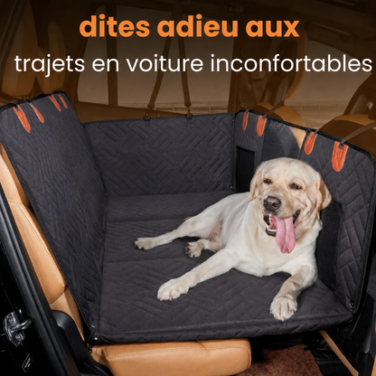 CoconAuto™ - Transformez chaque trajet en moment serein pour votre chien