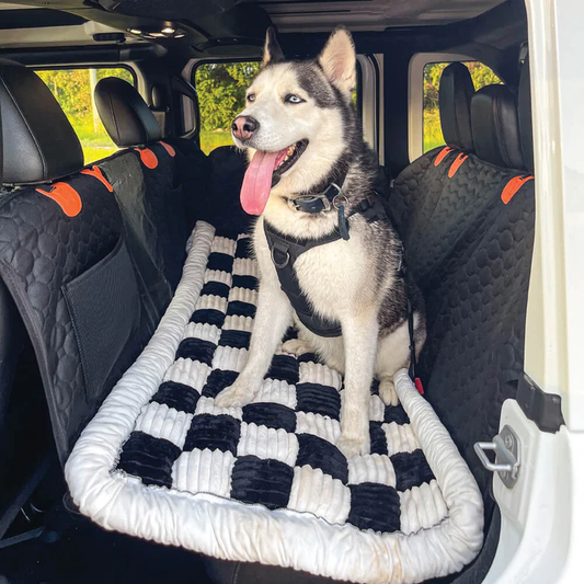 tapis de protection - CoconAuto™